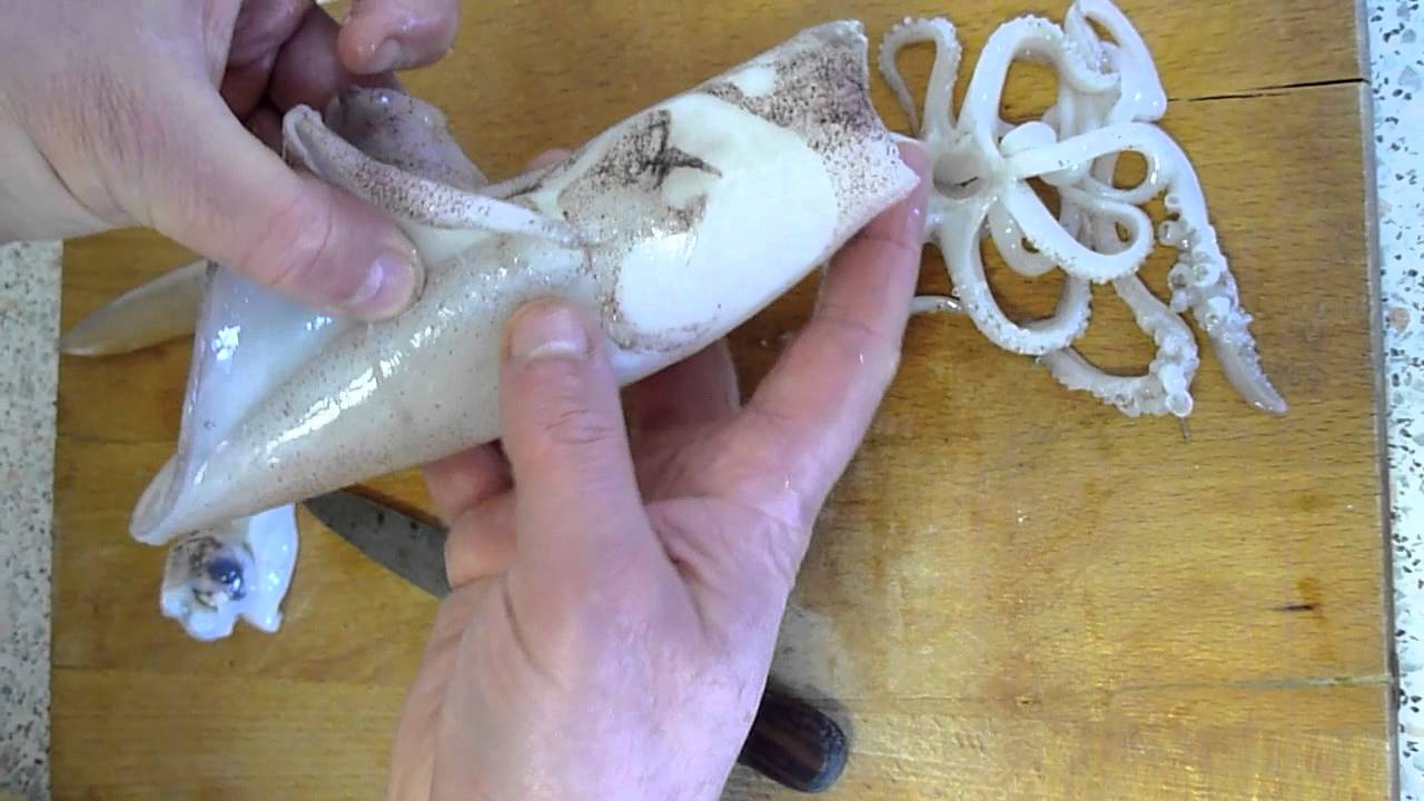Comment bien vider les seiches et les calamars